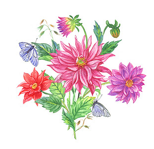 大丽花和蝴蝶的花束, 水彩图画在白色背景, 隔绝.