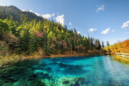 蓝水摄影照片_秋天树林中有蔚蓝水的五色泳池