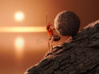 蚂蚁西西弗斯卷石头上山在山