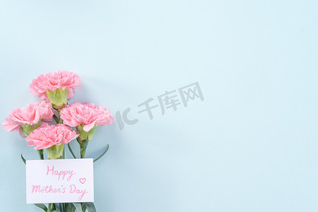 美丽、典雅的粉色康乃馨花，背景明亮浅蓝色，母亲节送花的概念，顶视图，平铺，头顶