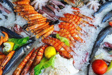 新鲜的海鲜，海鲜酒家在希腊克里特岛的冰箱里