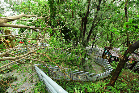 台风摄影照片_台风过后损坏