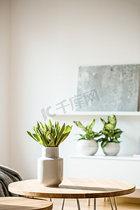 新鲜白色郁金香在瓷花瓶站立在木桌在明亮的房间内部与盆栽植物和现代绘画在模糊的背景下