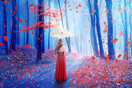梦幻童话摄影照片_幻想图像女人的寂寞与起雨伞走在森林中梦幻仙境. 