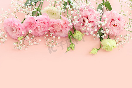 彩绘背景上精致粉色花朵的顶视图图像