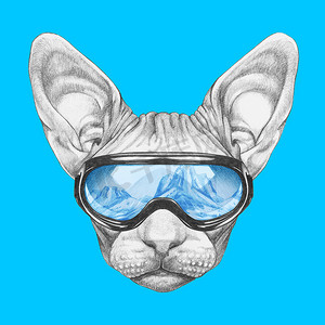 漂亮的素描肖像 Sphynx 猫在滑雪镜中的蓝色山脉反射