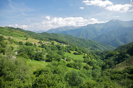 坎塔布连山区森林