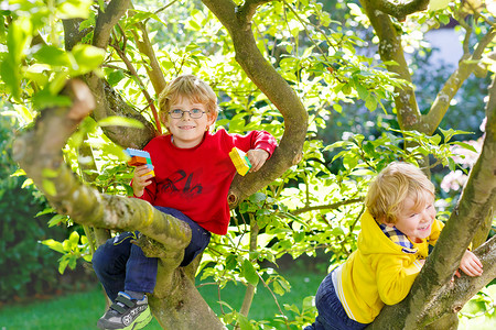攀爬小孩摄影照片_享受攀爬在树上的两个活跃小小孩男孩