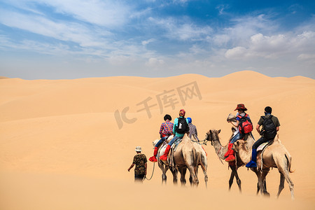沙漠中的骆驼车队