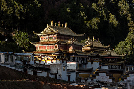 浪木寺