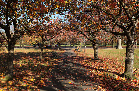 格林威治公园秋季颜色