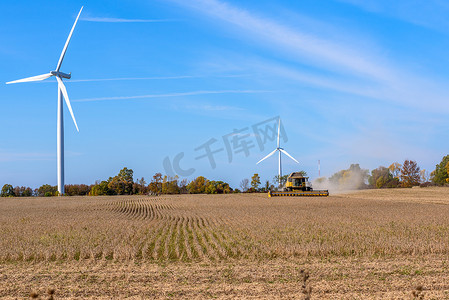 crops摄影照片_Combine harvesting a wheat crops in a field overlooked by tall wind turbines on a clear autumn day. Wolfe Island, ON, Canada.