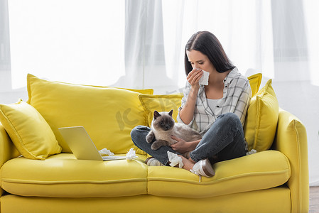 过敏的女人坐在沙发上用纸巾擦鼻涕时，带着猫靠近笔记本电脑