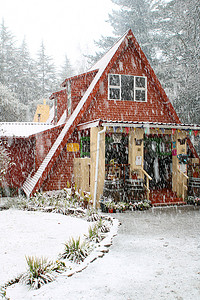 雪中的古雅小屋