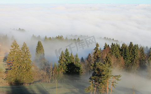 在云的山坡上的木头。皮拉图斯瑞士卢塞恩