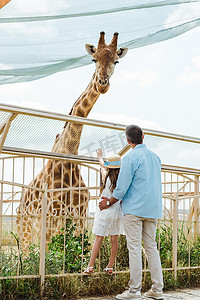 在附近摄影照片_父亲和女儿在草帽站在附近的围栏和长颈鹿在动物园的背面视图 