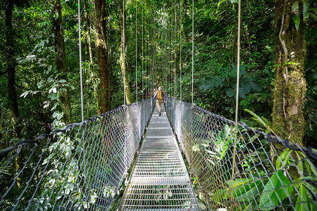 在绿色热带丛林中远足，哥斯达黎加，中美洲