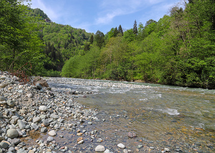 成立社团摄影照片_春天的河流和河流 rize 社团 ikizdere