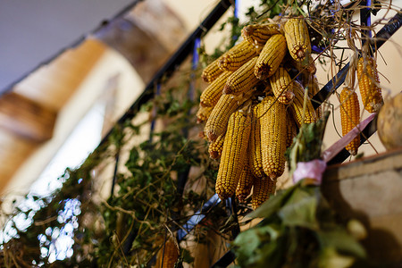 农村农场天然有机秋天黄色装饰从干玉米玉米背景国家风格的装饰