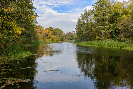 风景如画的秋季森林在河岸上, 秋天所有的大自然都变成了新的颜色。