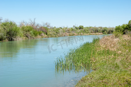草原河芦苇夏天。在视图中的这条河的意见。小蓝河由晴朗的一天