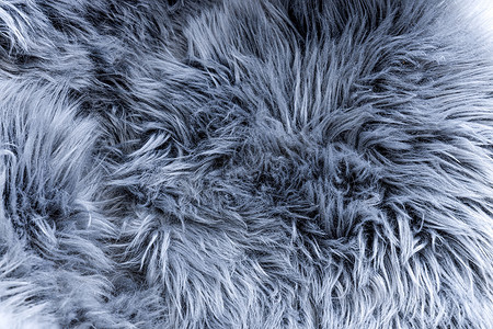 中性光条件下灰色长毛绒毛的顶部视图，用作背景或墙纸，这是塑料制成的人造毛皮.