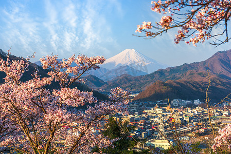 日本大崎市与珠穆朗玛峰的风景。富士在春天里开着樱花.