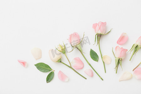 白纸背景上的粉红和白花
