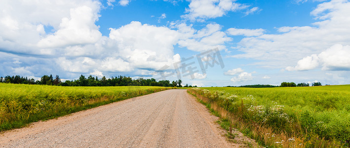 Banner.Country rural sandy road near fields,trees.Summer landscape taken at good cloudscape weather.