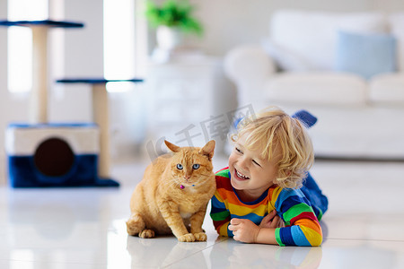 孩子在家里玩猫。儿童和宠物.