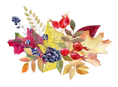 手绘水彩样机剪贴画模板秋天的叶子