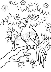 可爱善良的鹦鹉坐在森林里的花树上