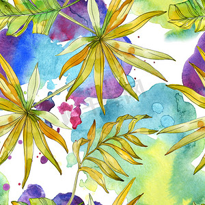 热带叶子植物摄影照片_热带花卉植物学花。异国情调的植物叶子分离。水彩插图集。水彩画时尚水彩画。无缝的背景模式。织物壁纸打印纹理.