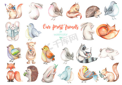 动物可爱手绘摄影照片_集合，设置的水彩可爱的森林动物插图