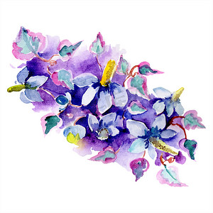 紫色花水彩摄影照片_紫色的花的花束。水彩背景插图集。水彩画时尚水族馆隔离。被隔绝的花束例证元素.