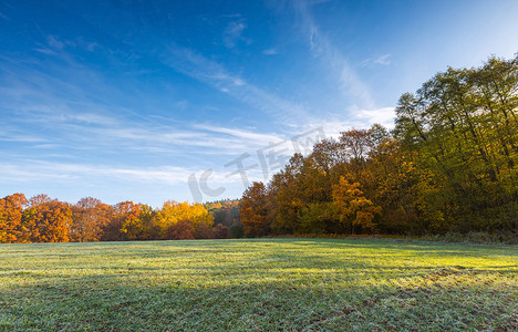绿色的田野，在秋天的早晨