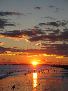 日落时分的沉没草甸海滩，纽约长岛