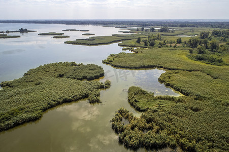 沼泽的湖, 空中摄影, 在夏天天, 背景图片