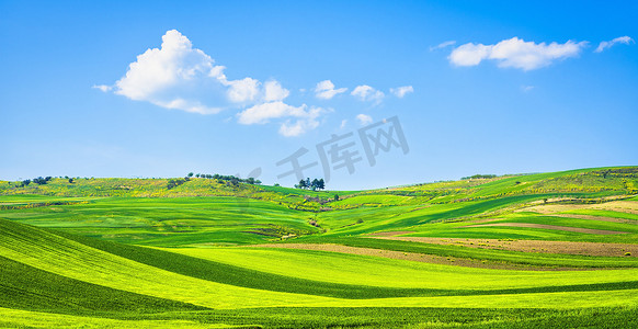 landscape摄影照片_Apulia countryside view rolling hills landscape. Poggiorsini, Mu