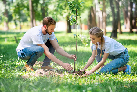 年轻夫妇的志愿者在公园里种植新树 
