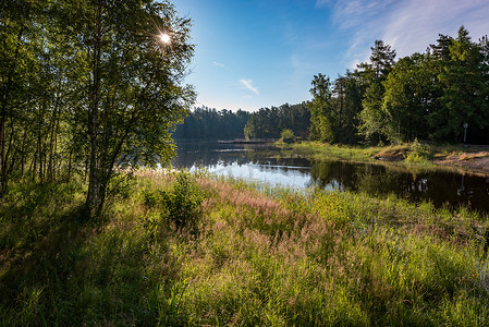 岛上肆虐的植被与湖泊密不可分。Valaam 是一个舒适和安静的一块土地, 岩石的海岸, 其中上升到郁郁葱葱的湖泊水域拉多加湖