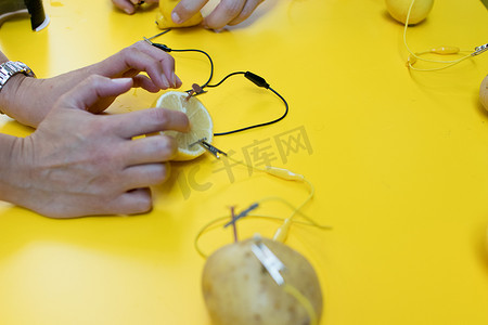 马铃薯、柠檬、短吻鳄夹、锌和铜钉对马铃薯电池STEM活性的影响.天然电池开启引线。黄色背景下儿童电学科学实验