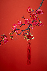 中国农历新年春节摄影照片_春节的农历新年装饰