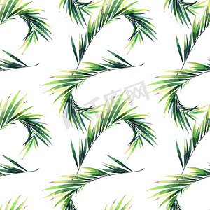 的竹叶摄影照片_明亮美丽的绿色草本热带美妙的夏威夷花卉夏天图案的热带棕榈和龟背竹叶水彩手插图。完美的纺织品, 墙纸, 背景