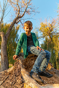 一个穿牛仔裤的男孩坐在圆木上, 一个孩子坐在公园里的一棵干燥的大树上, 在森林里广角特写镜头