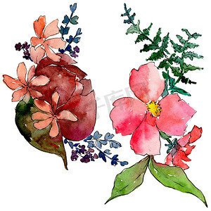 酸性边框摄影照片_五颜六色的花束。花卉植物花。野生春叶野花分离.