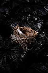 垃圾袋塑料袋摄影照片_鸟巢