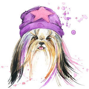 Cute Dog. Dog T-shirt graphics. watercolor Dog illustration. watercolor funny Dog for fashion print, poster for textiles, fashion design. 