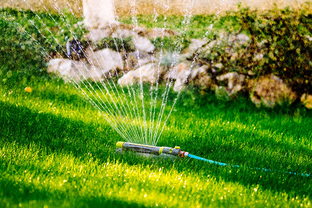 灌溉花园的现代装置喷灌。洒水系统浇灌草坪