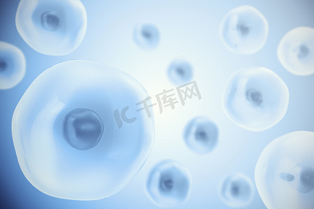 蓝色浪漫情人节摄影照片_人类细胞或动物细胞在蓝色背景上。生活和生物学，医学科学概念与焦点效果。3d 图